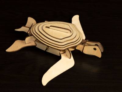 Sea Turtle