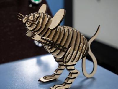 Mouse