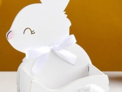 Rabbit Storage Box