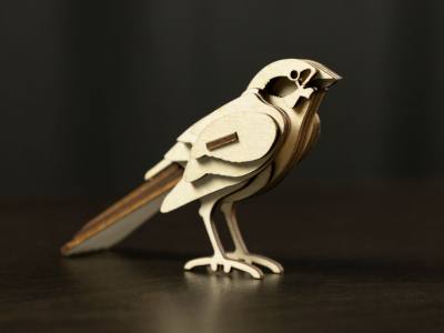 Parrot