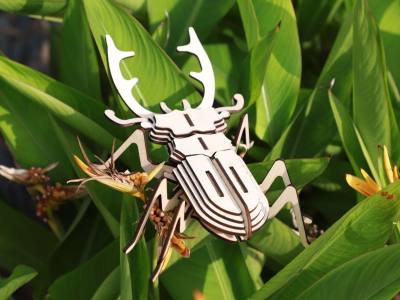 Beetle