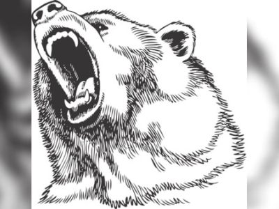Line Art Angry Bear Face Silhouette Vector Art File