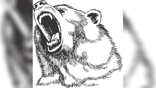 Preview image 1