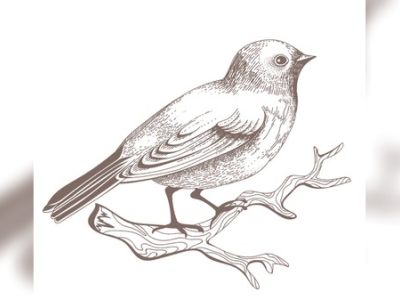 Laser Engraving Bird Vector Drawing CDR and PDF File