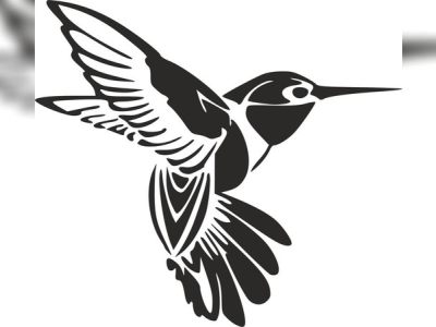 Humming Bird Tattoo