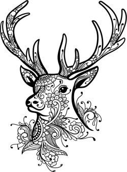 Preview thumbnail 2