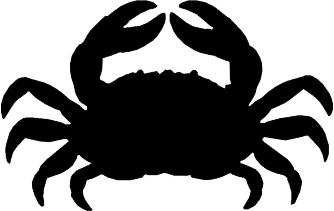 Preview thumbnail 2