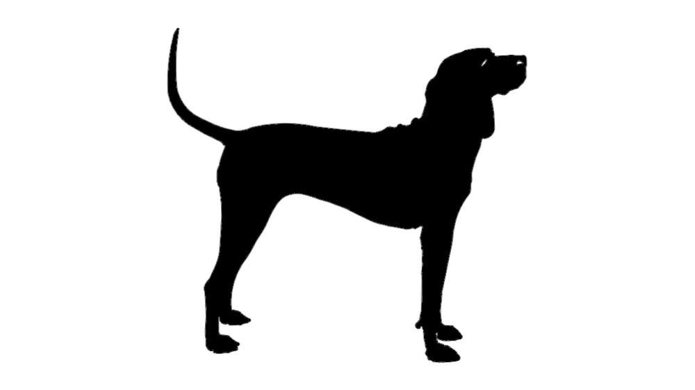 Preview image 1
