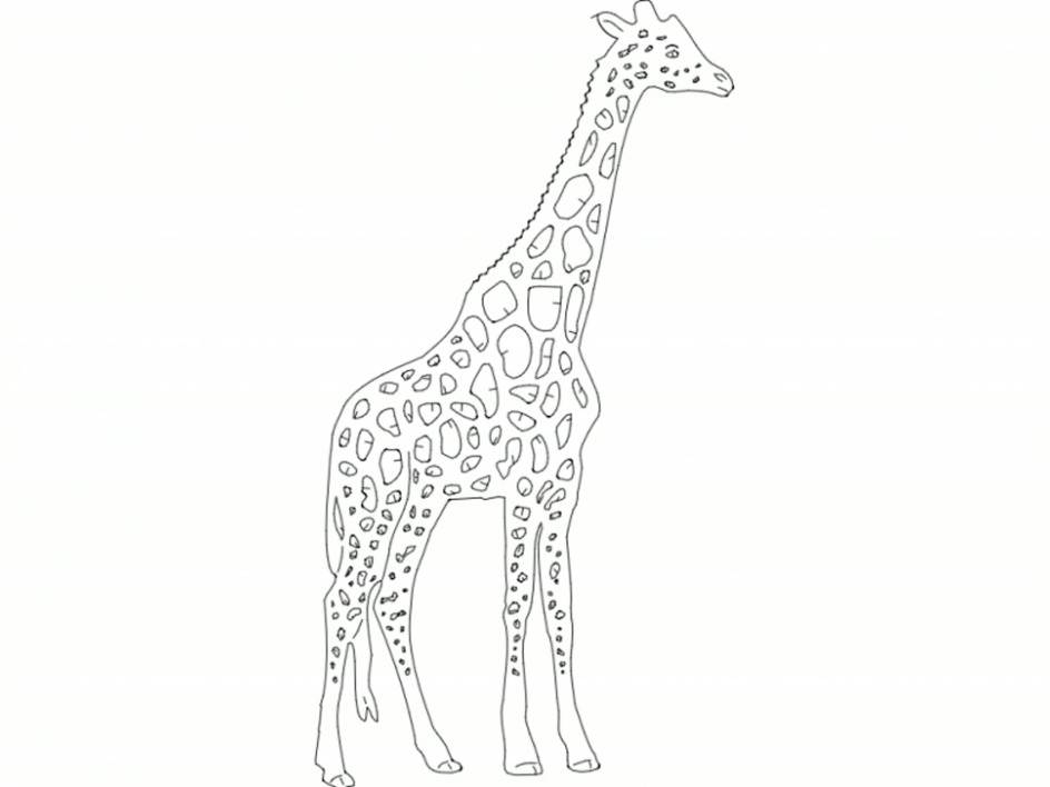Preview image 1