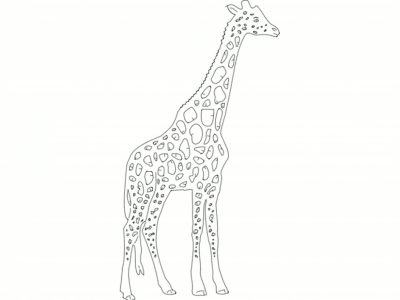 Giraffe Zoo Animal Signage Decorative Design