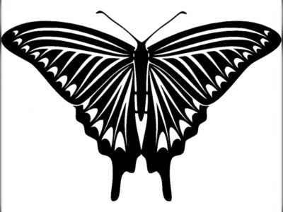 Butterfly Laser Engraving Design