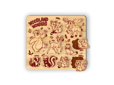 Puzzle Toy
