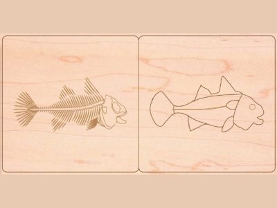 Fish Zoology Puzzle – Montessori Vertebrate Animal