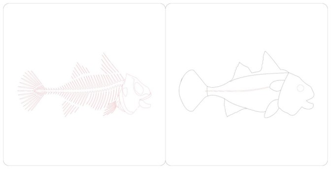 Preview thumbnail 2