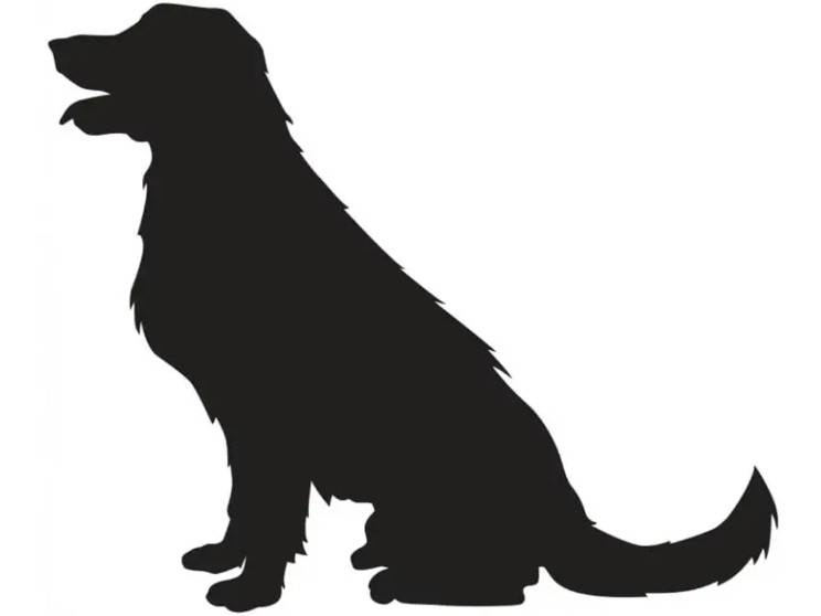 Preview image 1
